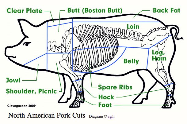 What are some different cuts of pork?