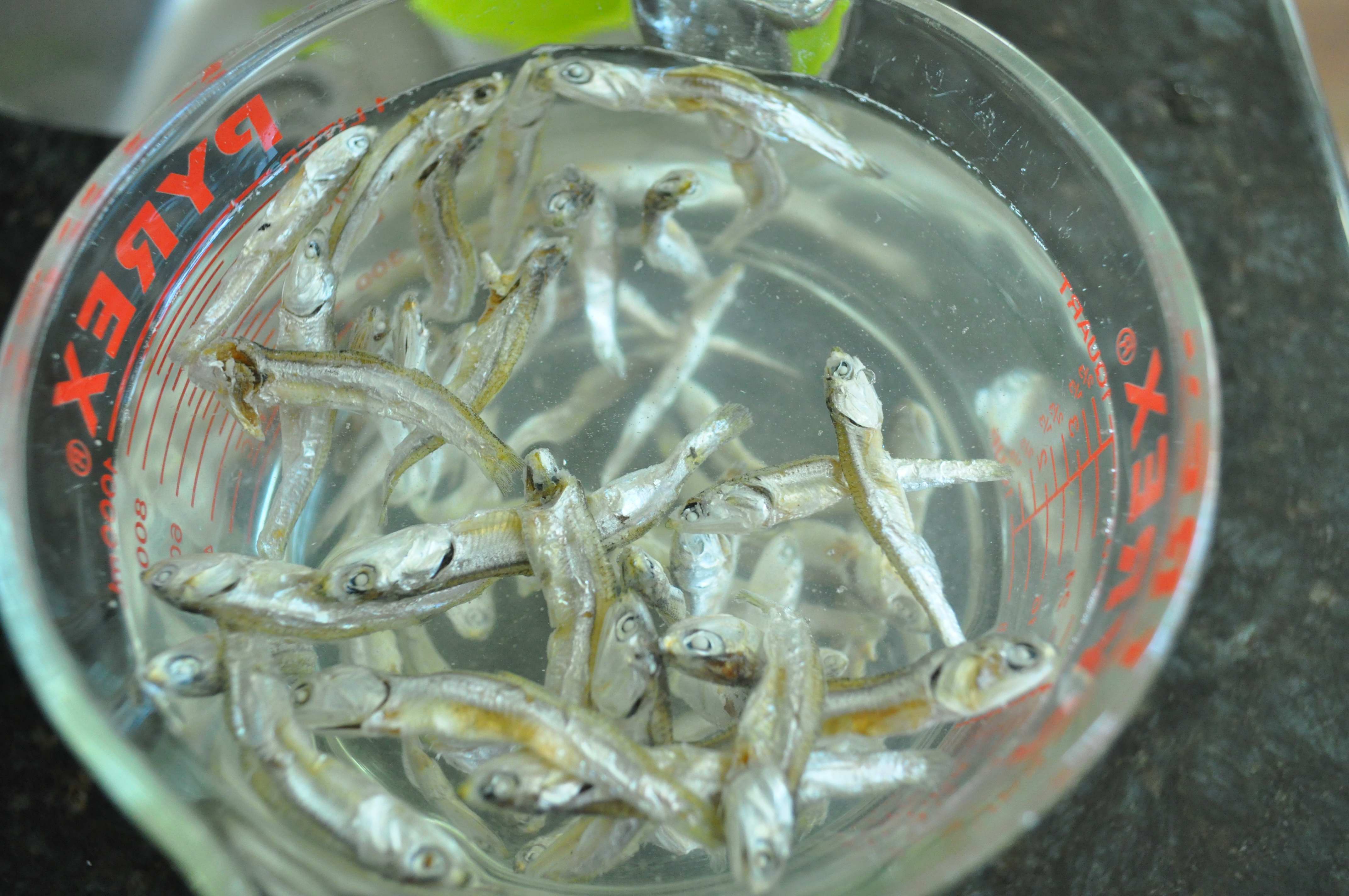 dried anchovies in water