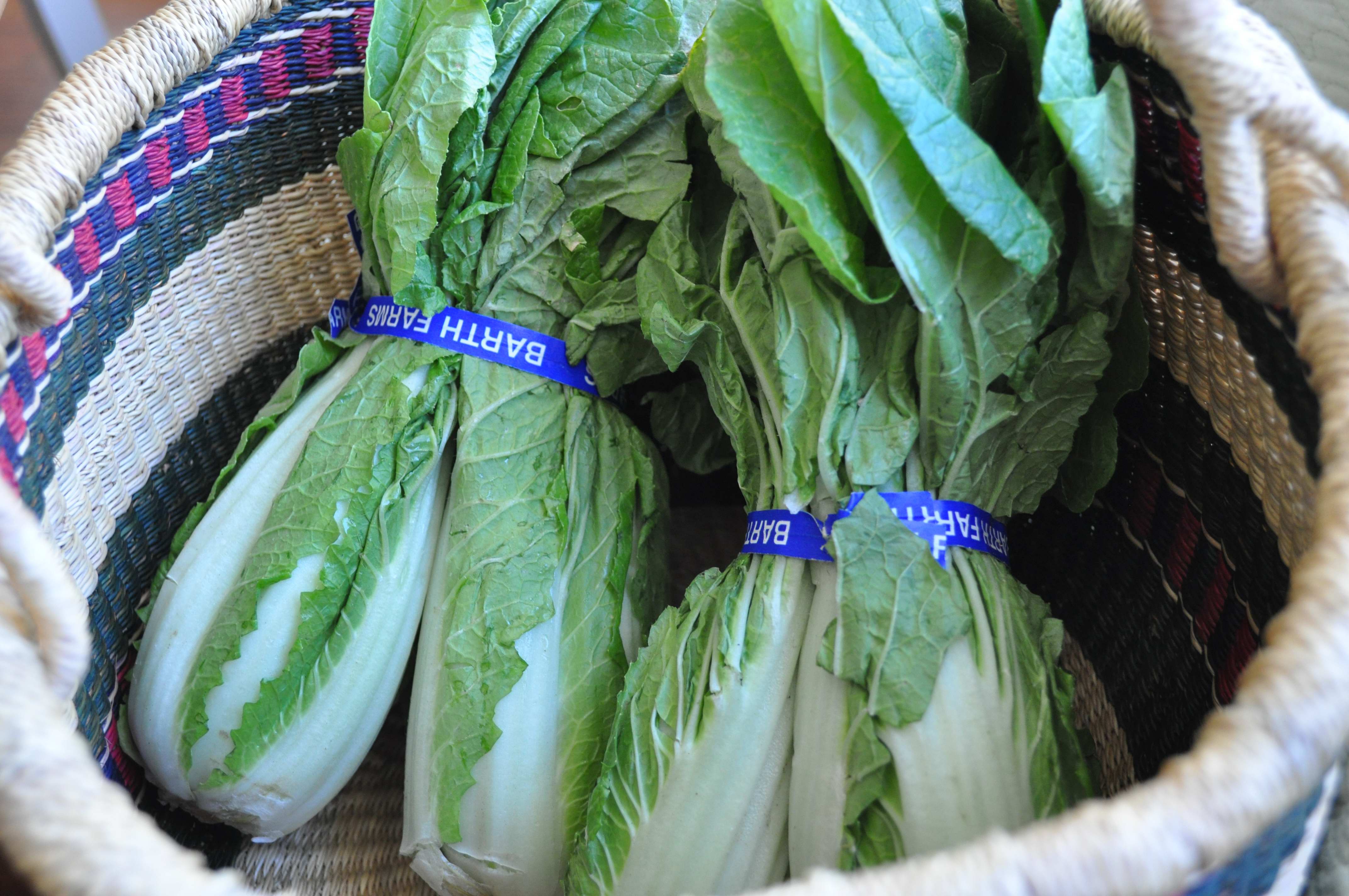 Korean small cabbage - green seoul