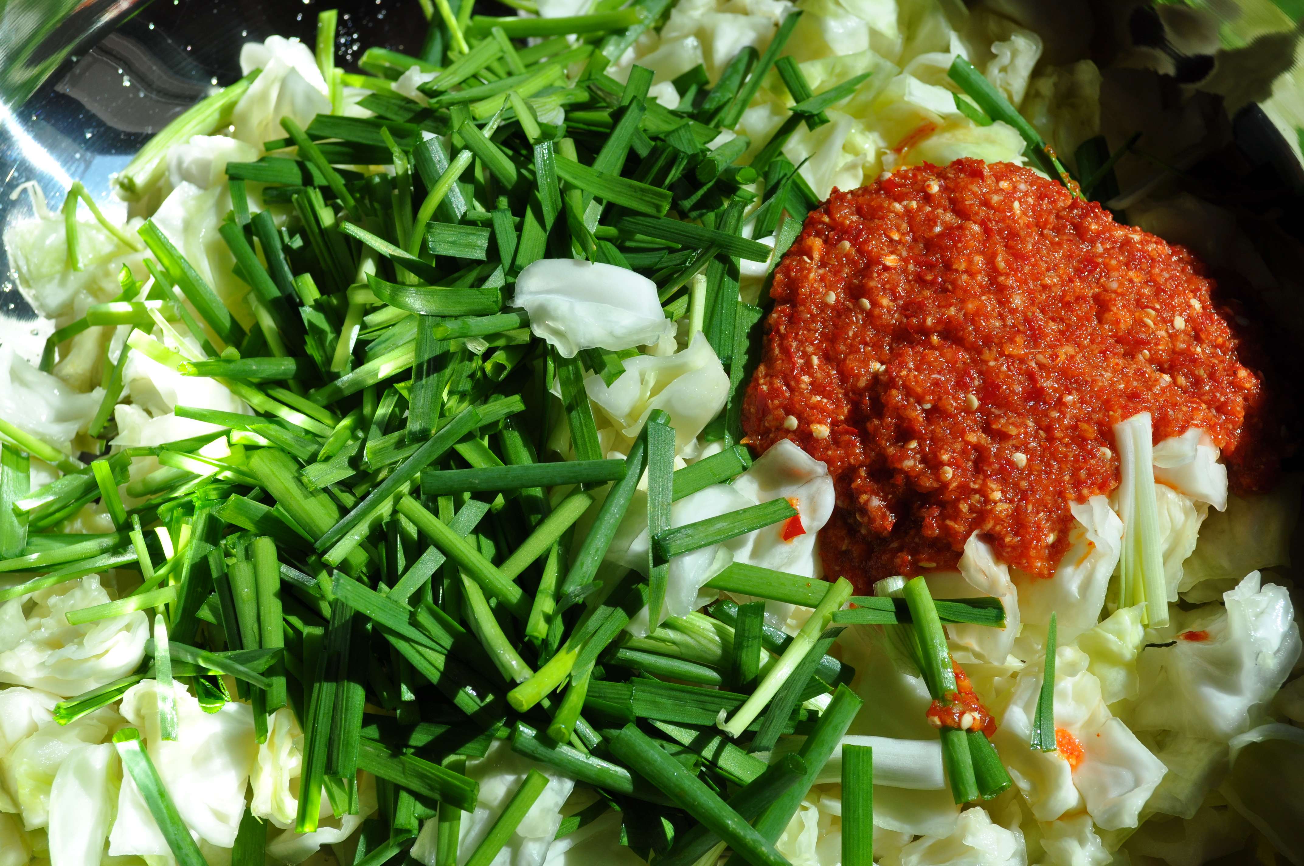 cabbage, chives, green onions and kimchi seasoning in large steel bowl