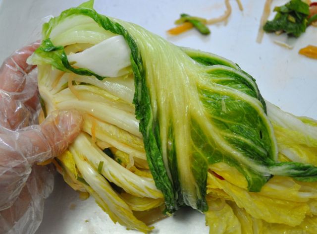 wrap cabbage after stuffing kimchi yangnyeom