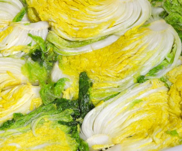 cbrined cabbages for Kimjang Kimchi