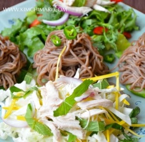 Makguksu (막국수) close up - Buckwheat noodles with chicken and veggies