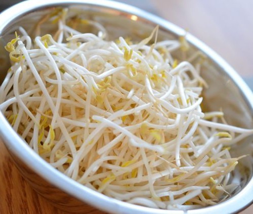 Bean Sprouts (숙주 sukju) for Mandoo stuffing