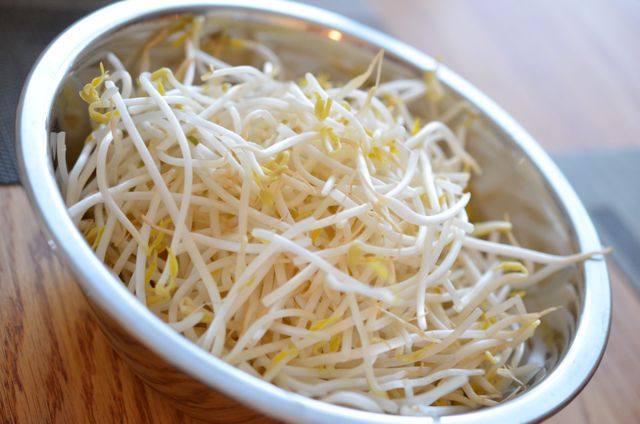 Bean Sprouts (숙주 sukju) for Mandoo stuffing