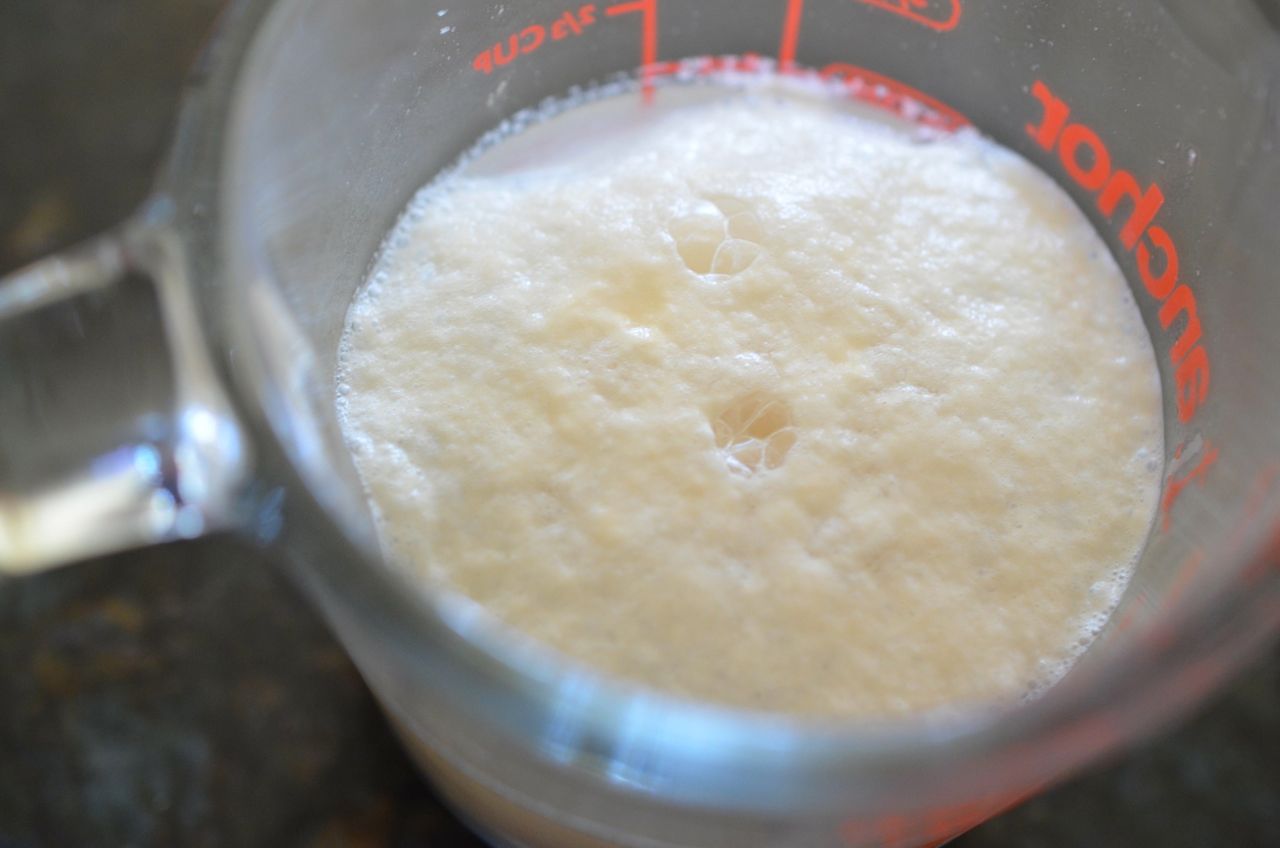 proof yeast by adding yeast to sugar water www.kimchimari.com