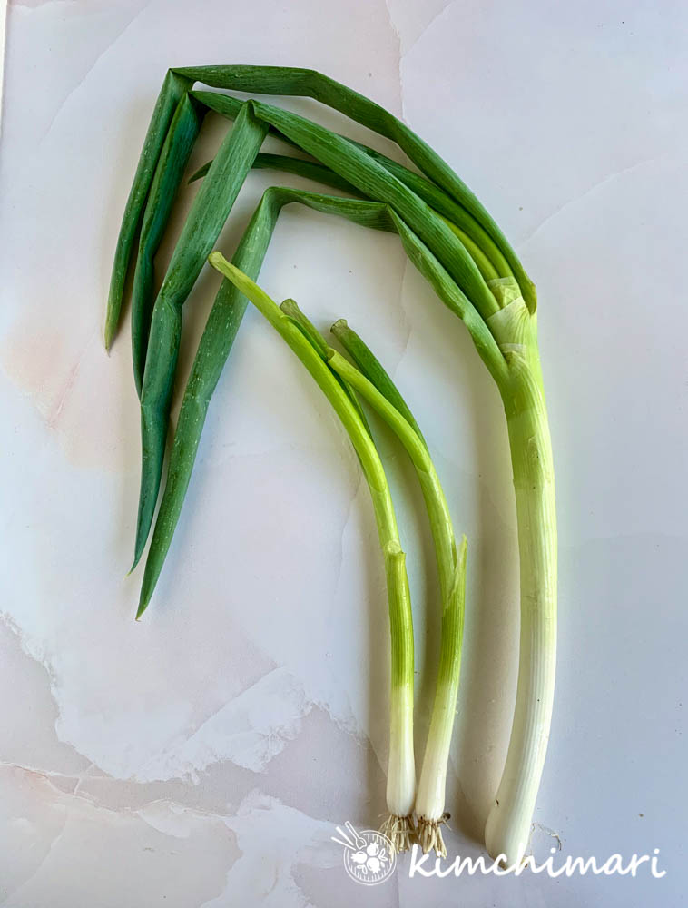 comparison picture of korean leek daepa vs green onions