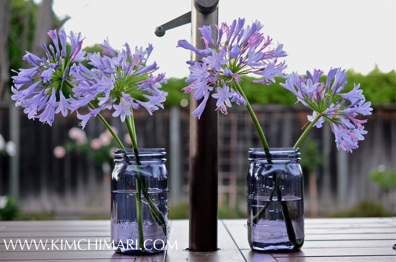 Lily of the nile in purple jar