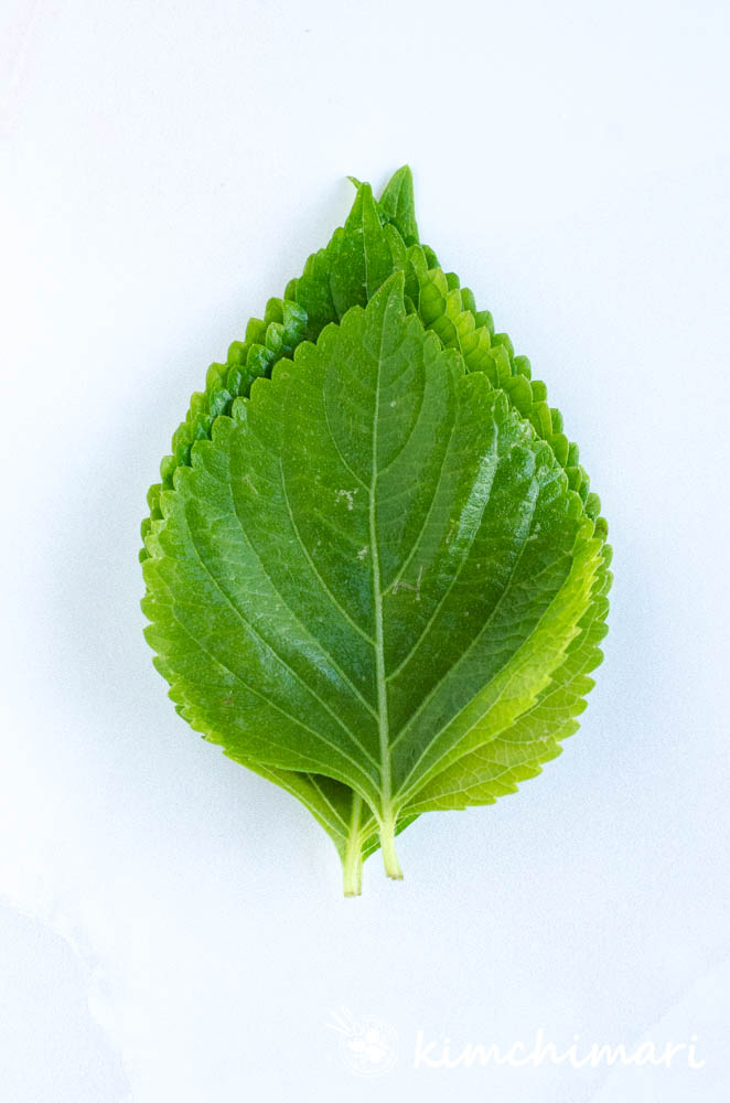 stack of perilla leaves on white background