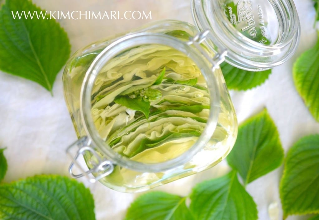 Korean Perilla Cabbage Pickle