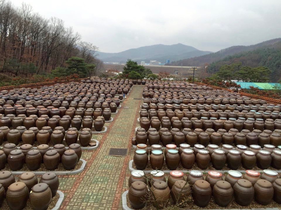 Earthenware or Jangdok (장독) where gochujang and doenjang are being made