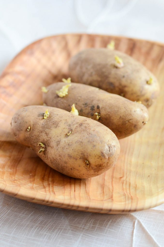 Organic Potatoes with sprouts
