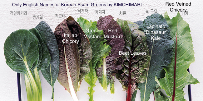 Korean Lettuce Wrap Ssam Varieties B