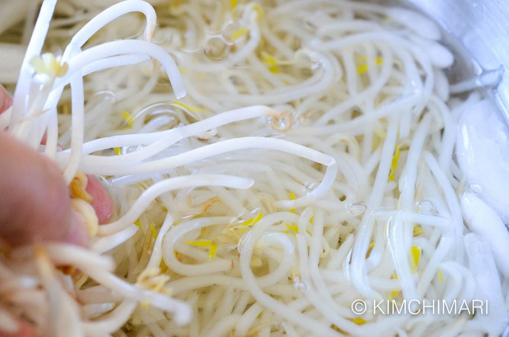 Cooked Bean Sprouts in Ice Bath for Korean Bean Sprouts Namul
