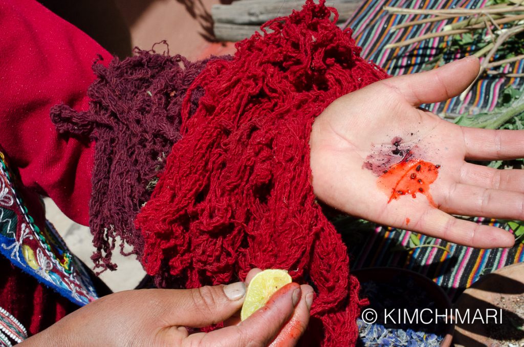 Cochineal Dye in Peru - orange color is after mixing with lemon