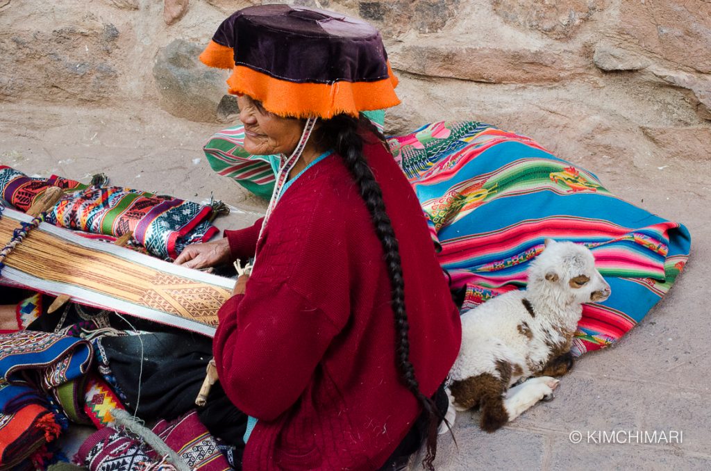 Peruvian Woman weaving with baby Alpaca