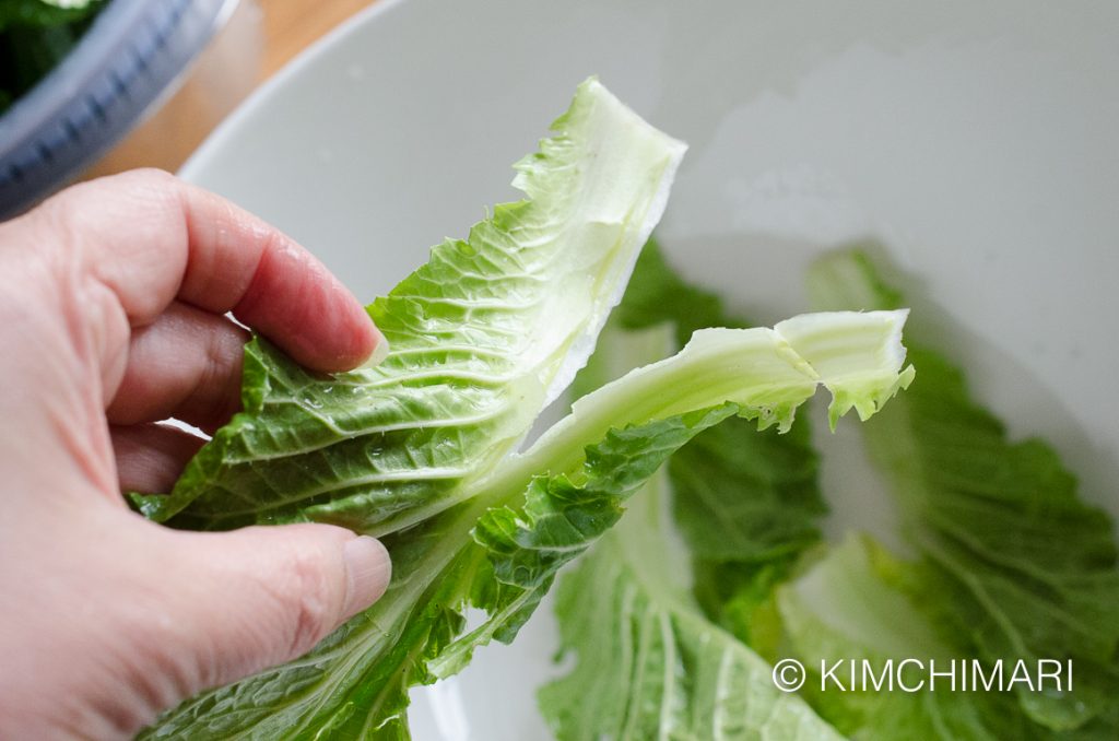 Tearing cabbage for Fresh Kimchi Salad