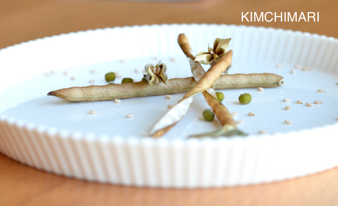 Sesame Seed pods close up