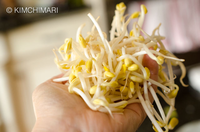 A handful of fresh good quality soybean sprouts