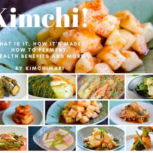 Photo collage of 13 different kimchi dish varieties (Guide 101)