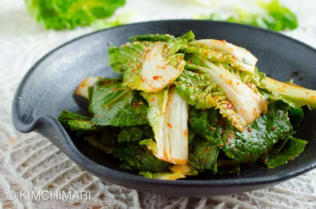 Fresh Kimchi Salad with Spring Cabbage (Bomdong Geotjeori)