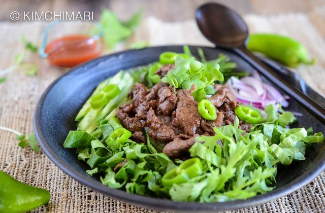 Bulgogi Rice Bowl with Gochujang