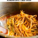 yukgaejang instant pot recipe in
