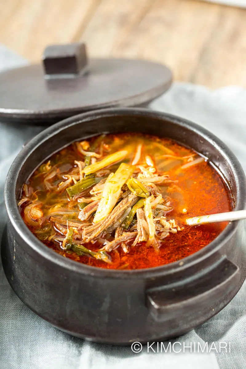 Yukgaejang served in Korean stonebowl with cover