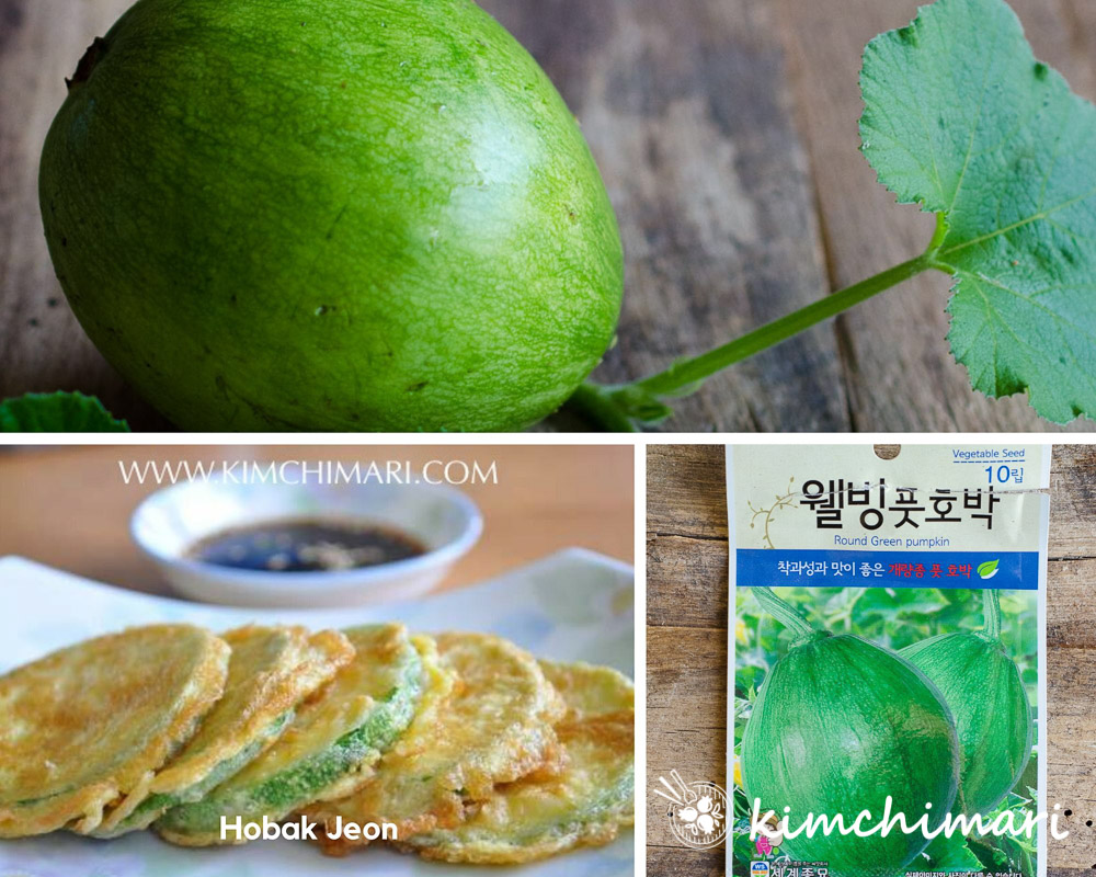 collage image of Korean squash with vine, seed packet and hobak jeon