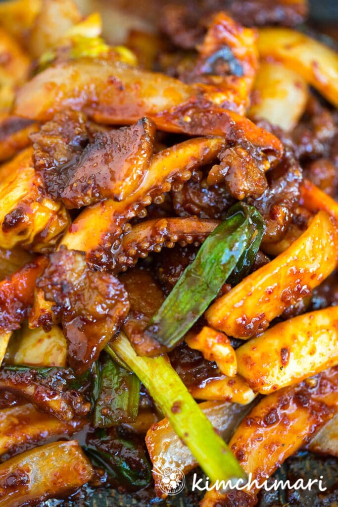 Osam Bulgogi Spicy Squid and Pork Stir-Fry  close-up