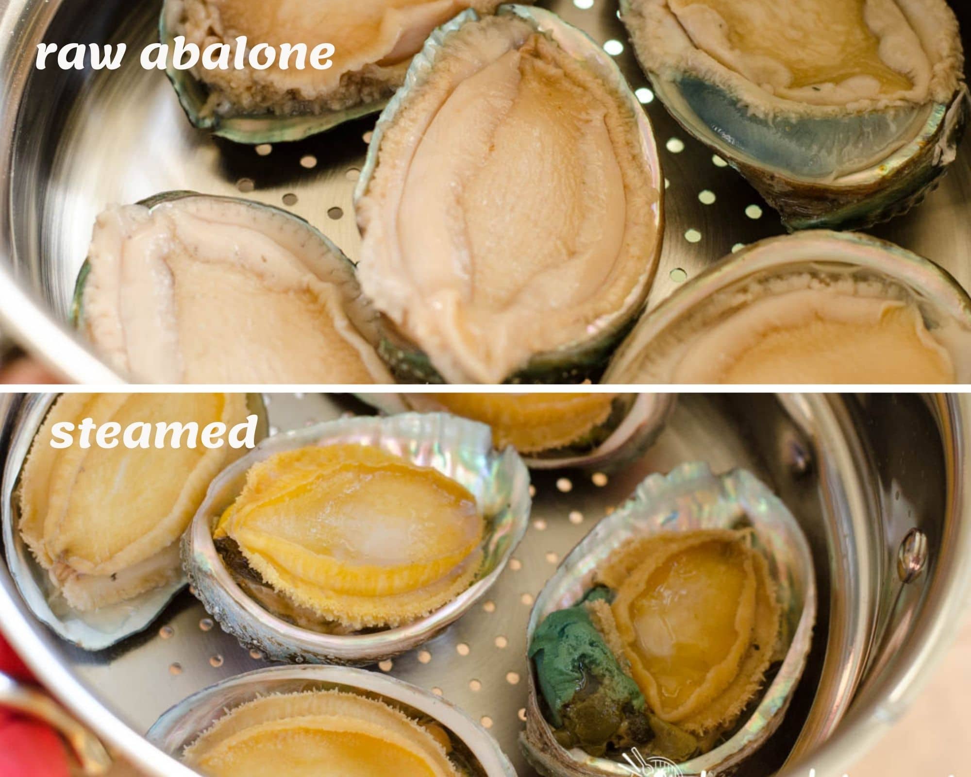 raw vs steamed abalones inside steamer pot