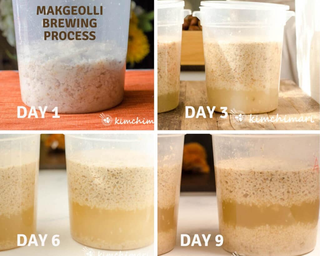 4 side view pic of makgeolli in container on day 1, 4, 6 and 9 with more liquid each day