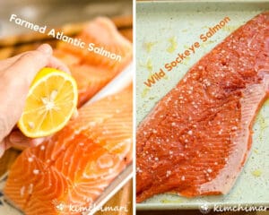 2 images of farmed and wild salmon pieces with showing juicing a lemon on top