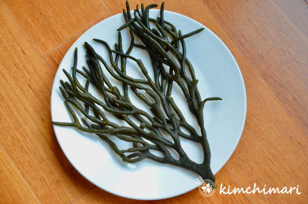 Cheonggak Sea Fingers plant on white plate