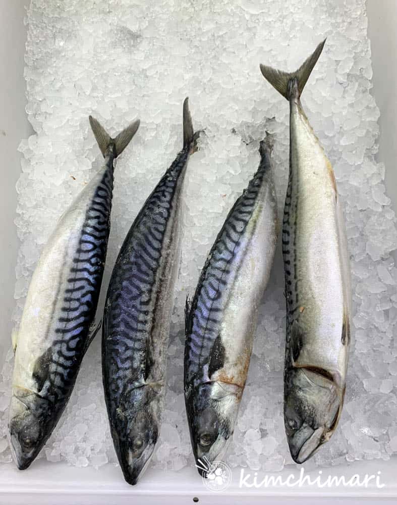 whole mackerels displayed on ice