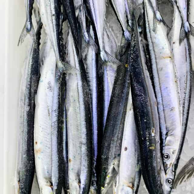 Saury Korean Ingredient Kimchimari