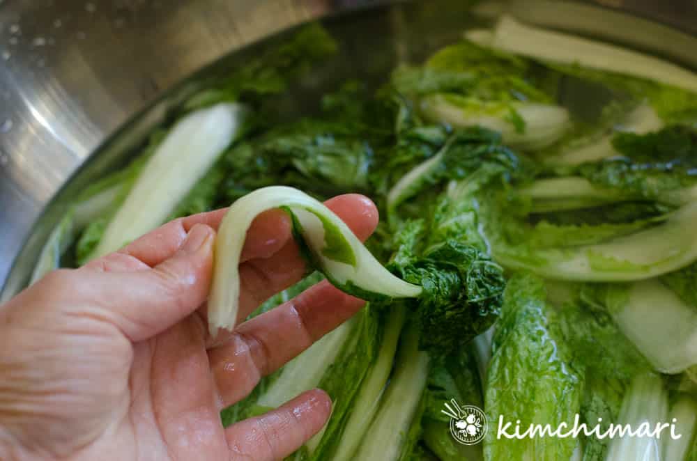 bending pickled cabbage leaf with fingers