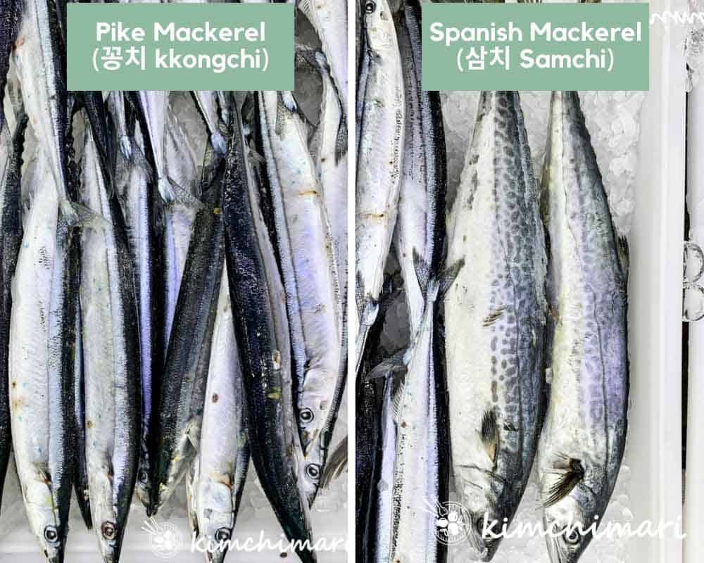 side by side pics of whole pike mackerels on the left and spanish mackerels on the right