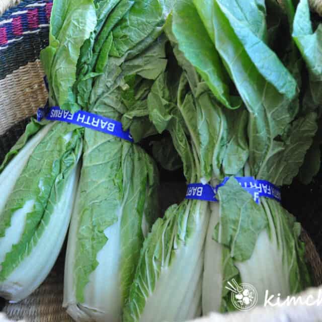 Winter Cabbage Korean Ingredient Kimchimari