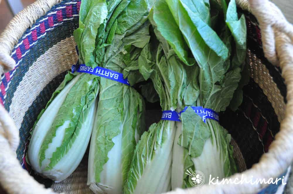 bunches of seoul green cabbage inside a basket
