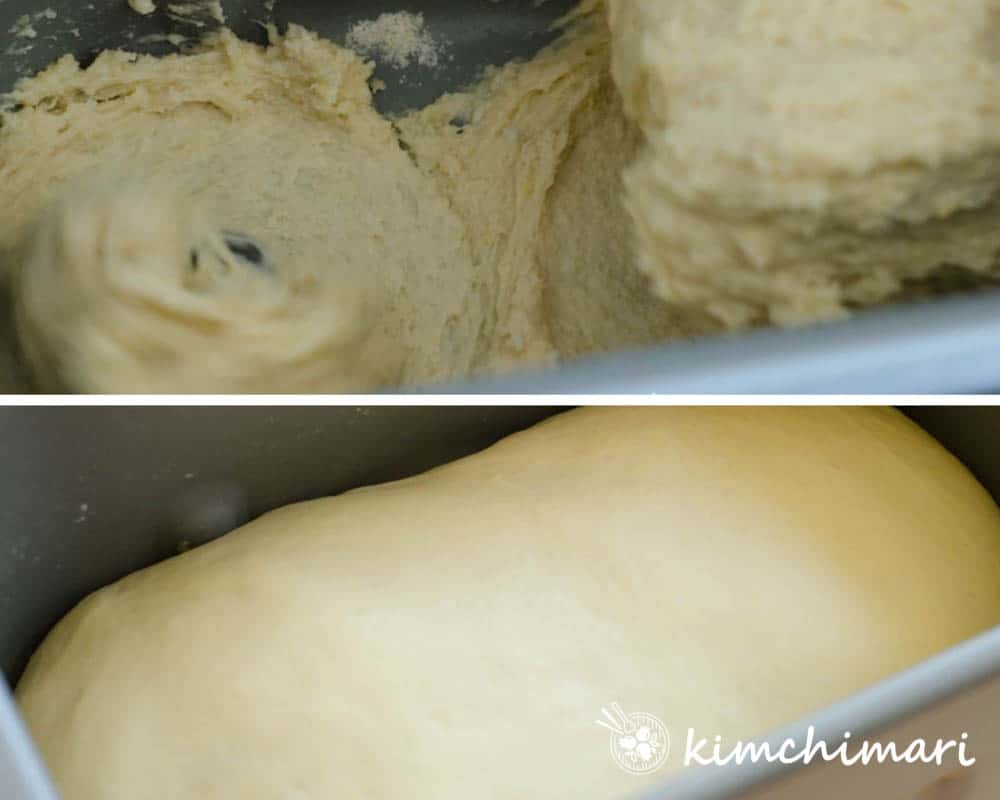 kneading and proving dough