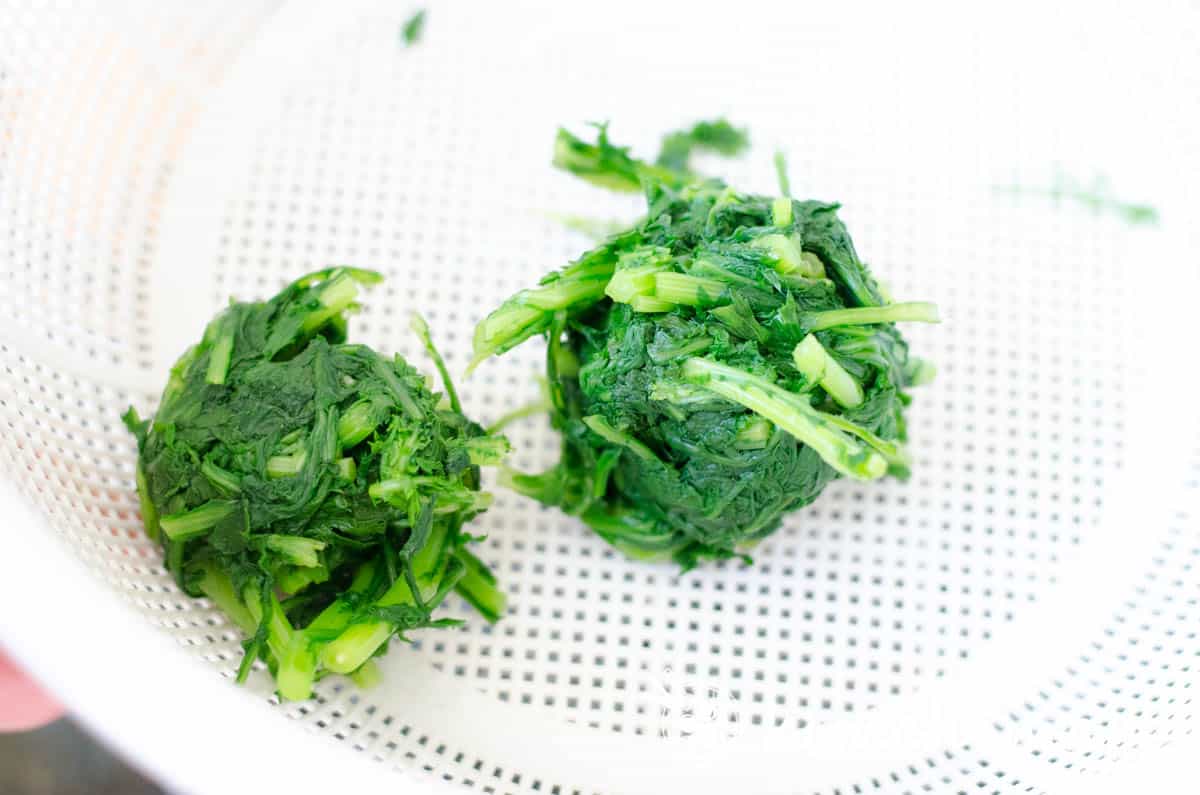 blanched and squeezed cooked crown daisy greens in colander
