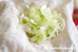 onions cucumbers pickled on hemp liner