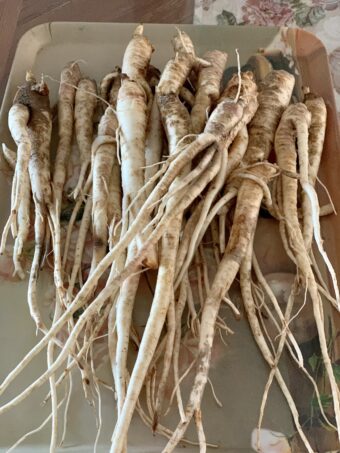 Doraji Namul (Sauteed Bellflower Roots) - Kimchimari