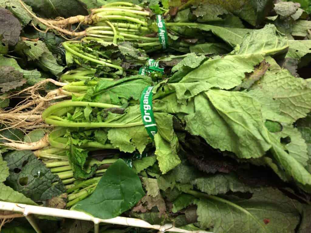 Mustard Greens Korean Ingredient Kimchimari