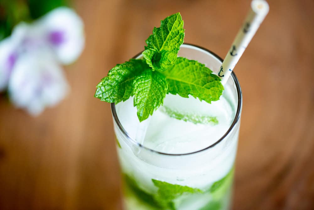 Classic Mojito Recipe - Food with Feeling