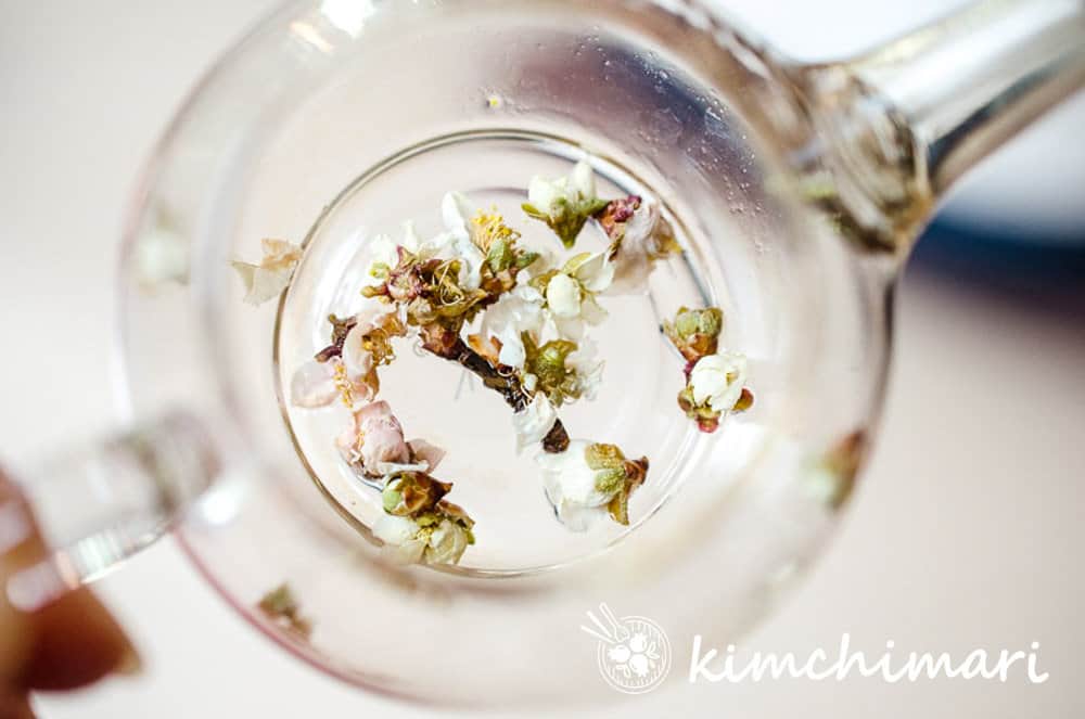 fresh cherry blossoms on glass tea pot