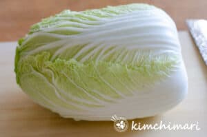 whole napa cabbage on cutting board with root end cut
