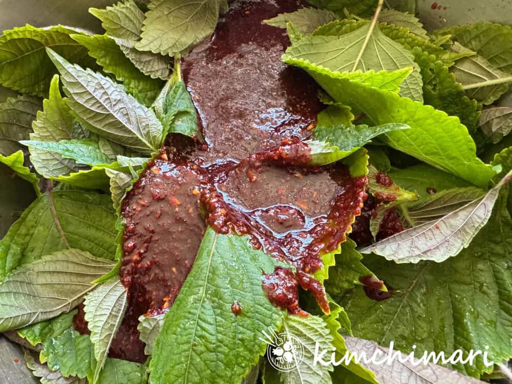 perilla kimchi seasoning poured on rinsed perilla leaves