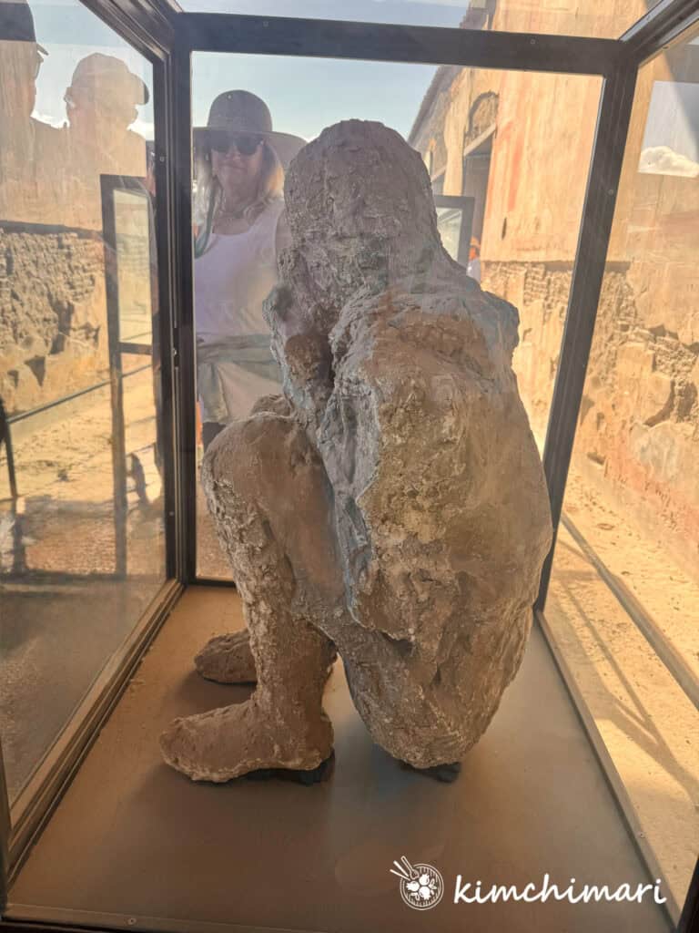 victim of mount vesuvius eruption pompeii